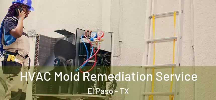  HVAC Mold Remediation Service El Paso - TX