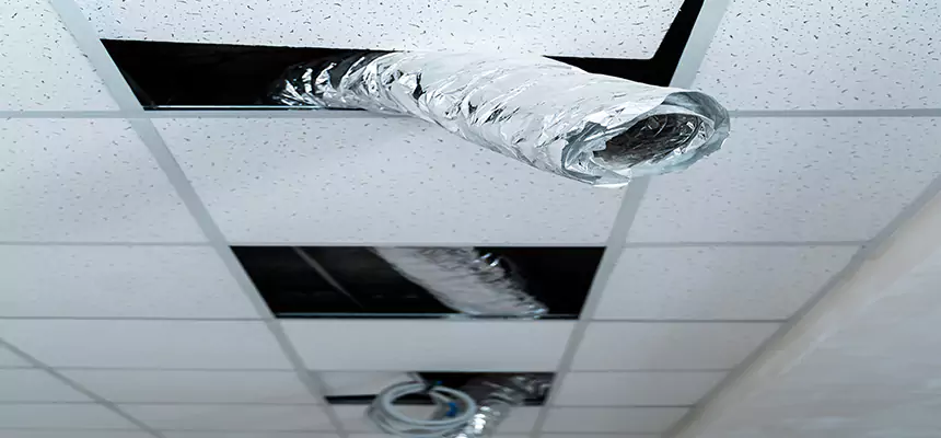 Affordable HVAC Sanitizing After Pest Removal in El Paso