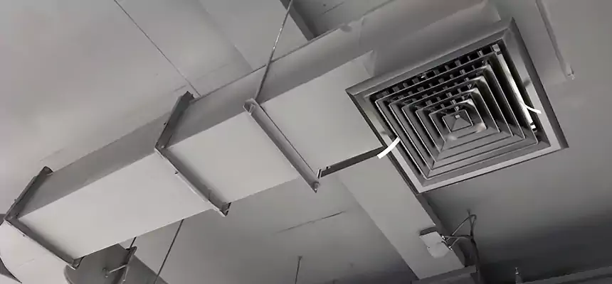 Restorative Allergy Relief Vent Cleaning – Coil, Blower & Housing Detail in El Paso