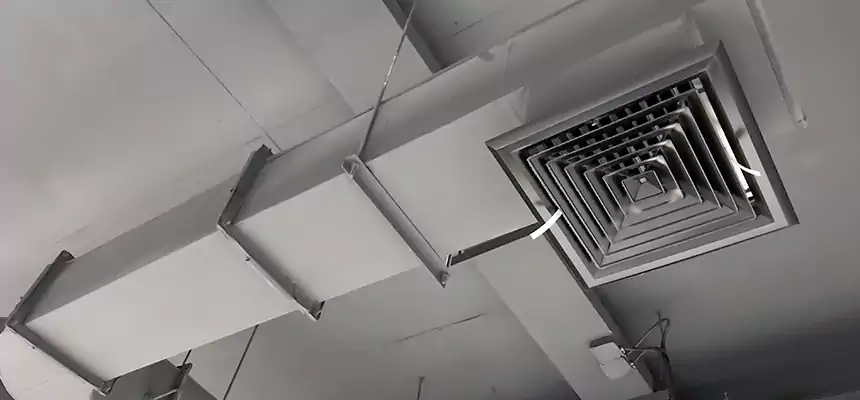 Our Pest Removal From Ducts Services in El Paso, TX