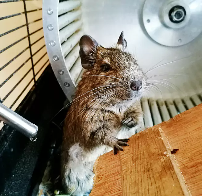 Why Homeowners & Businesses Trust Us El Paso, TX