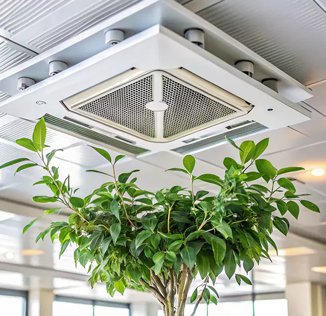 Why Homeowners & Businesses Trust Us in El Paso, TX?