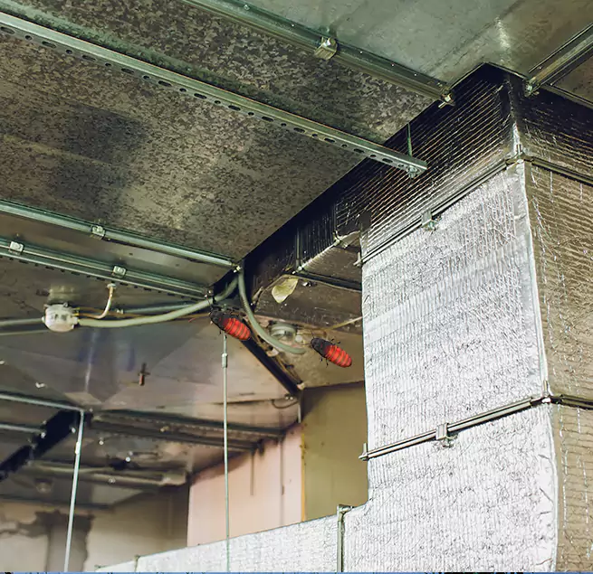 Why Homeowners & Businesses Trust Us El Paso, TX?