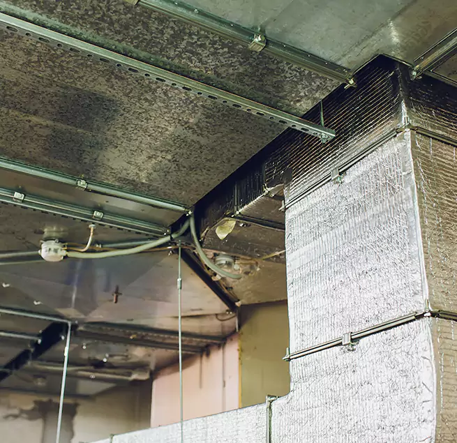 Why Homeowners & Businesses Trust Us in El Paso, TX?